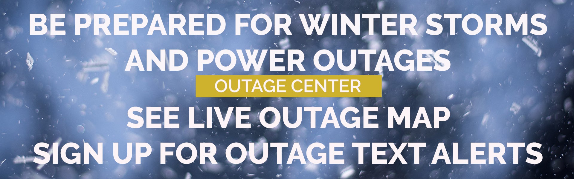 See online Outage Center if your power goes out