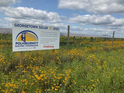 Wildflowers bloom under Georgetown Solar.