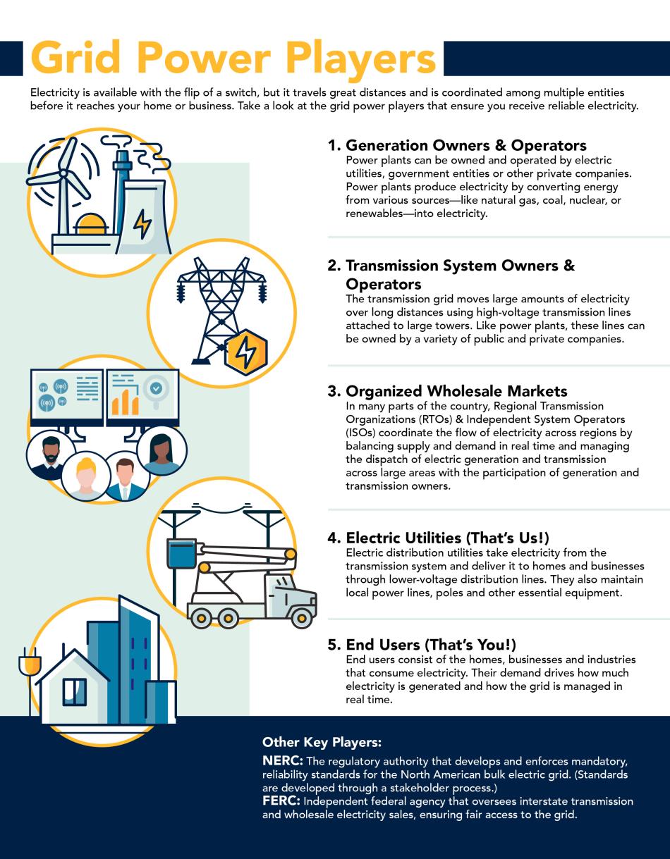 Grid Power Players Infographic