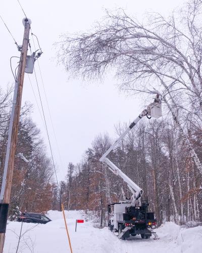 Trees on power lines can cause outages.