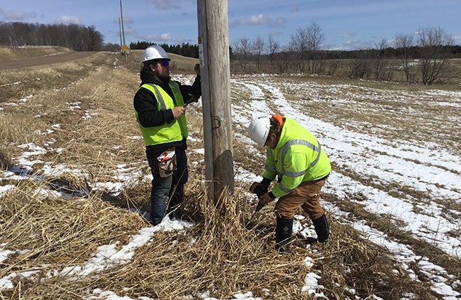 Pole inspection