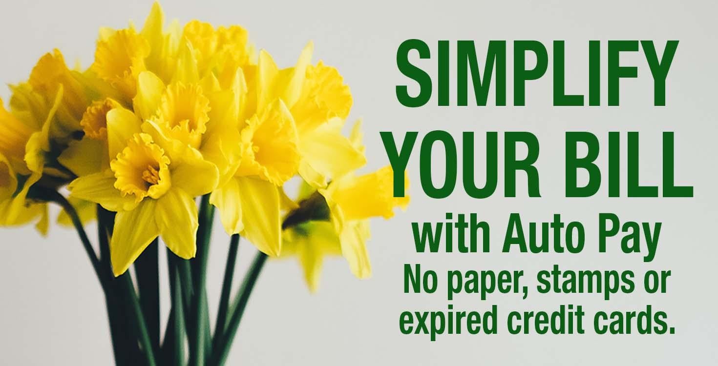 Simplify your bill with auto pay