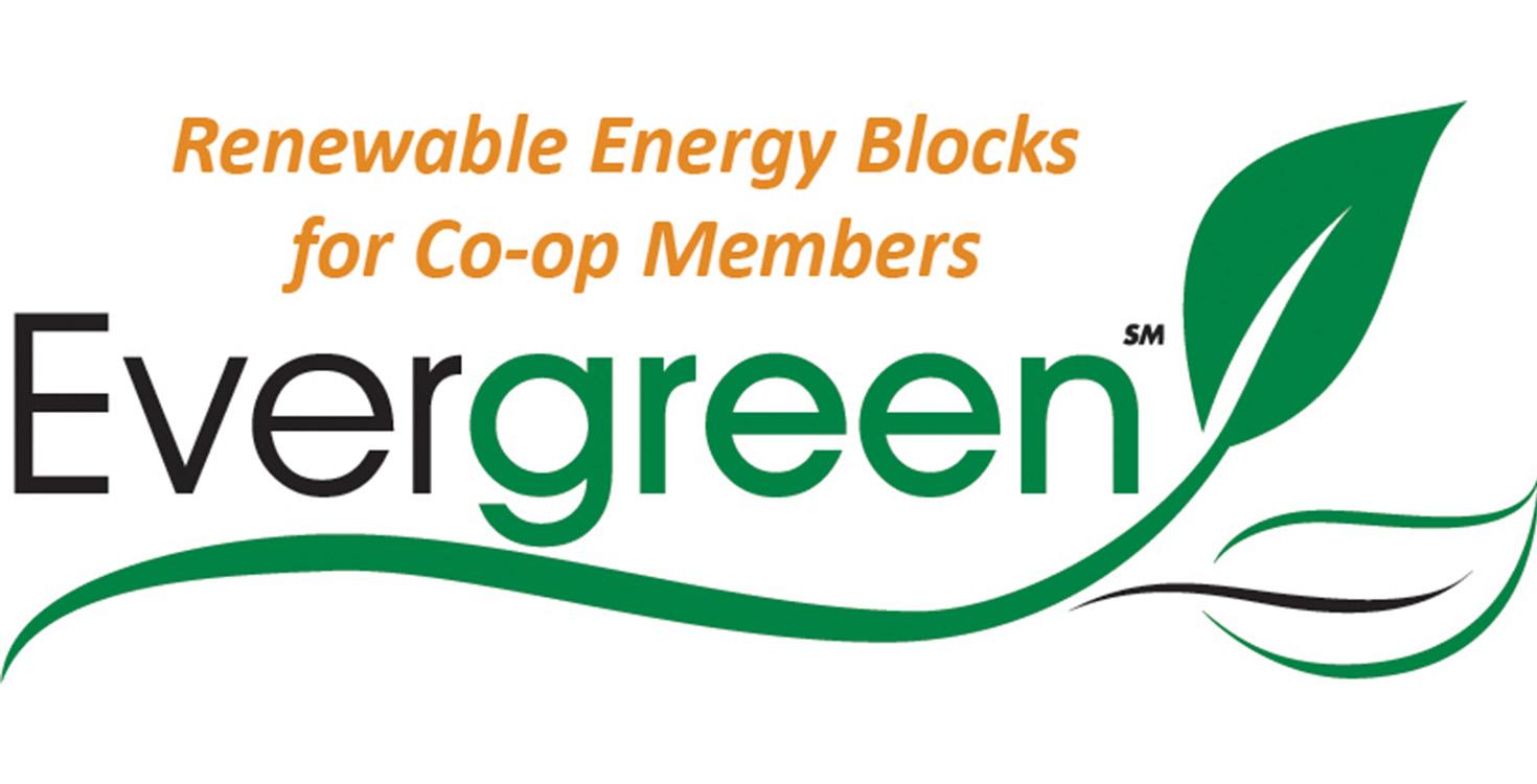 Evergreen Renewable Energy Blocks